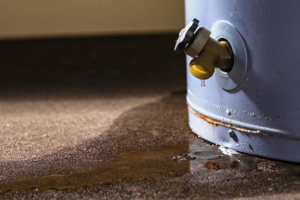  Morse, LA Water damage restoration Pros