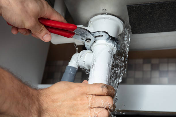 Best Mold removal after water damage  in Morse, LA