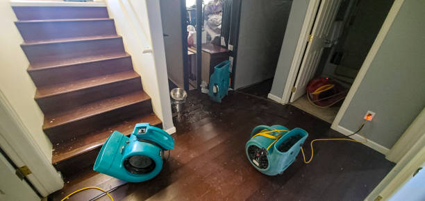 Best Flooded house restoration  in Morse, LA