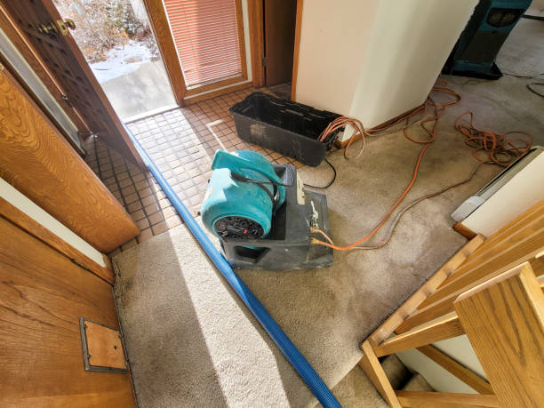 Best Fire Damage Restoration  in Morse, LA
