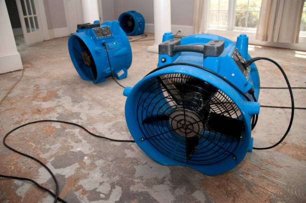 Best Basement water damage restoration  in Morse, LA