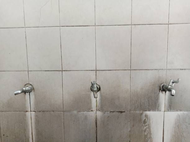 Best Water damage restoration near me  in Morse, LA