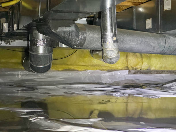Best Water damage cleanup near me  in Morse, LA