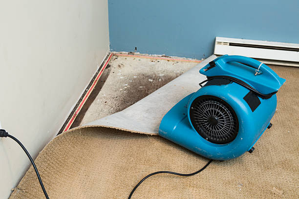 Best Local water damage restoration  in Morse, LA